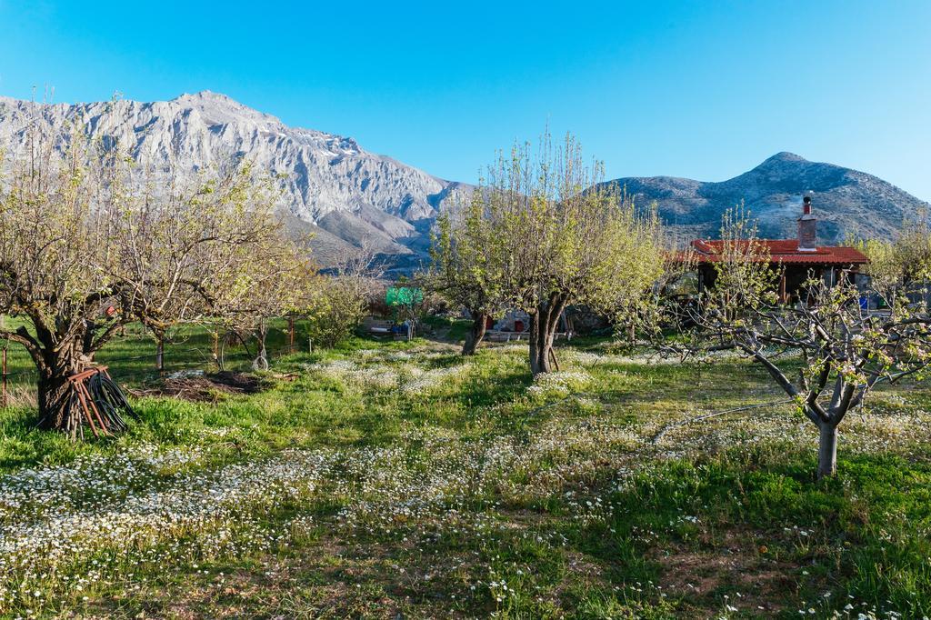 Vilaeti Άγιος Κωνσταντίνος Εξωτερικό φωτογραφία