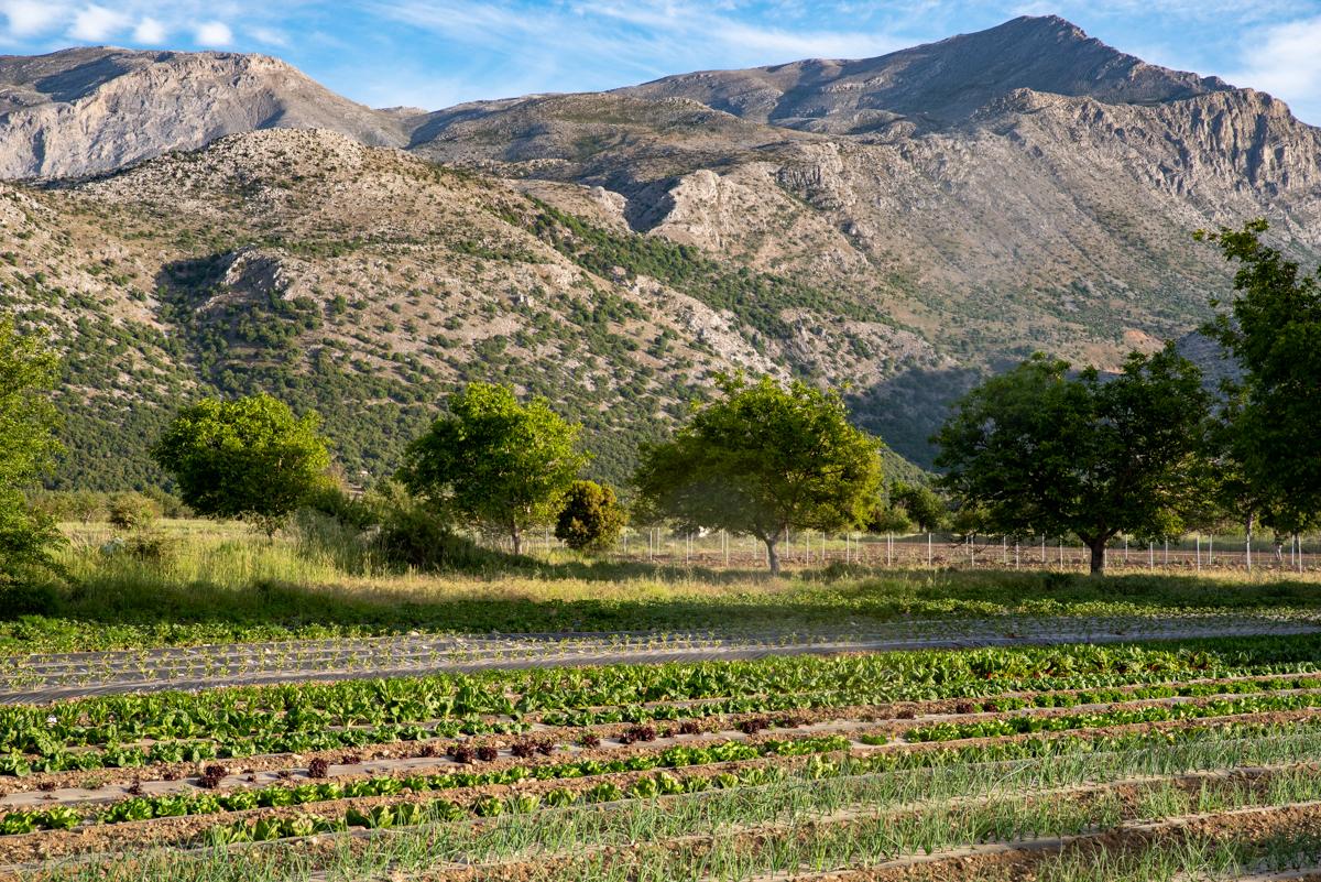 Vilaeti Άγιος Κωνσταντίνος Εξωτερικό φωτογραφία
